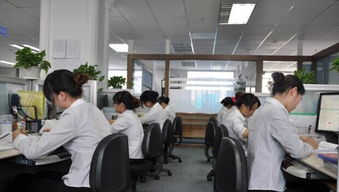 安居区优质商标注册多重优惠