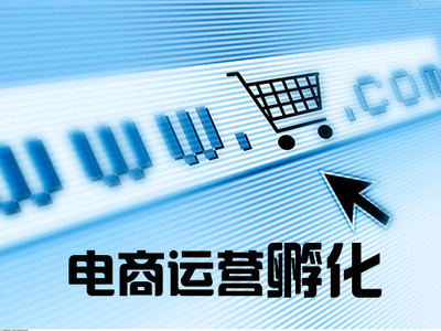 电商平台运营打造
