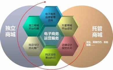 跨境电商网站建设运营方案详解:跨境电商选品运营方案|2024年06月更新